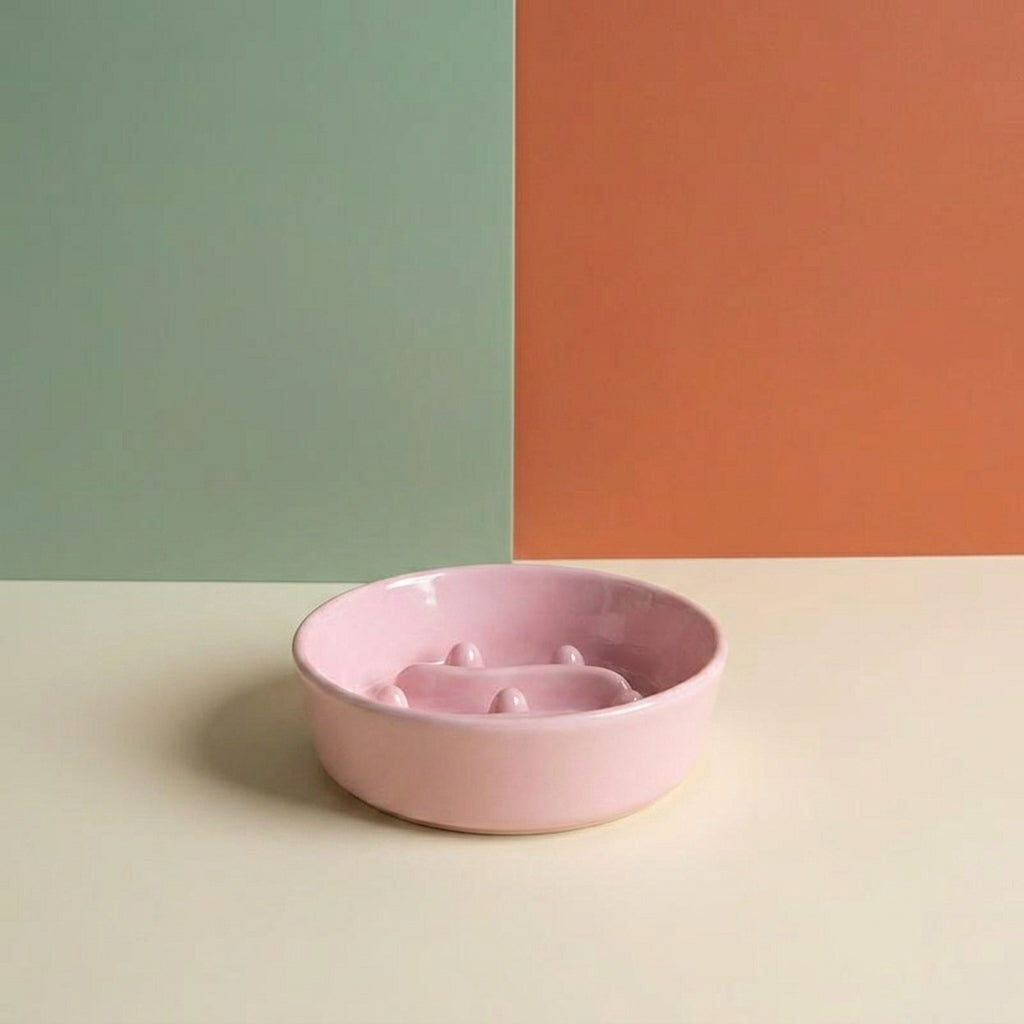 Ceramic Anti-choke Slow Feeder Bowl, Anti-slip Anti-tip Pet Bowl